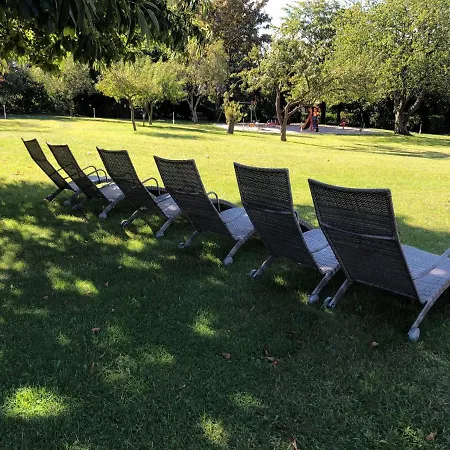 Отель & Konference 4*