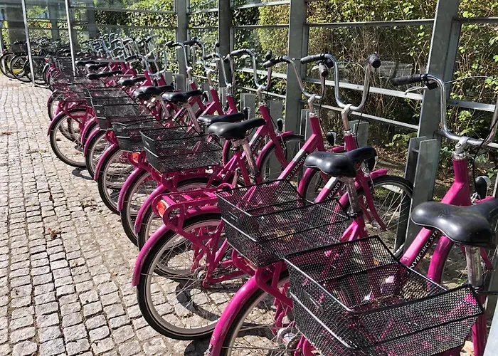 호텔 & Konference 4*